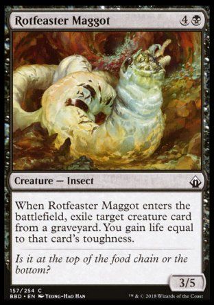 Rotfeaster Maggot (Battlebond) Trading Card