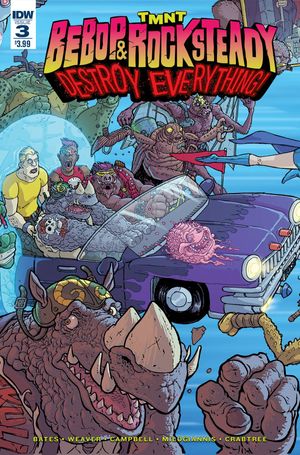 Teenage Mutant Ninja Turtles: Bebop & Rocksteady Destroy Everything #3