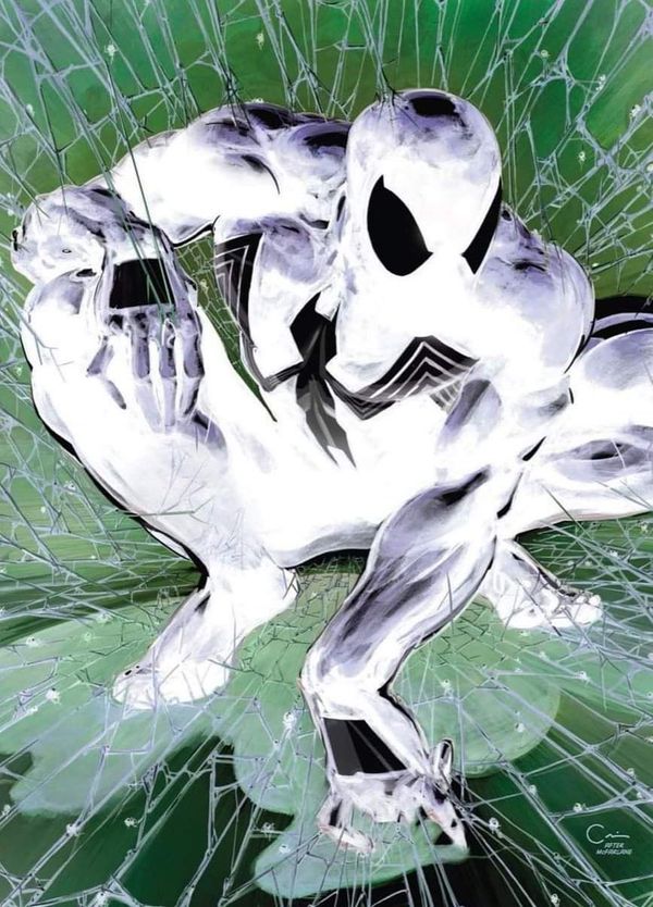 Spider-Man #1 (Scorpion Comics Facsimile Negative Edition)