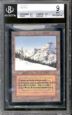 Taiga (Beta)