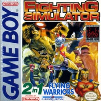 Fighting Simulator 2-in-1 Video Game