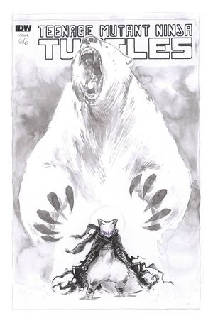 Teenage Mutant Ninja Turtles #66 (Artist Cover Variant)