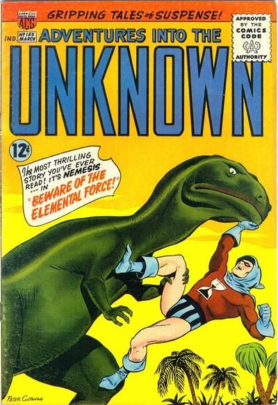 Adventures into the Unknown #155 Comic