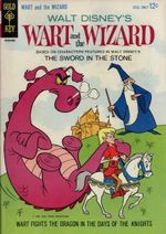 Wart And The Wizard