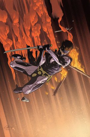 Ninjak #22 (Cover D 20 Copy Cover Henry)