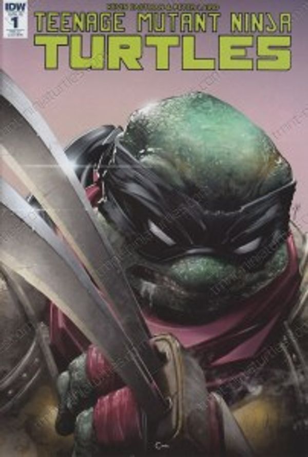 Teenage Mutant Ninja Turtles #1 (Variant Cover D)