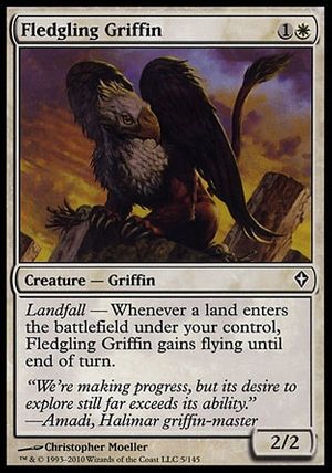 Fledgling Griffin (Worldwake)