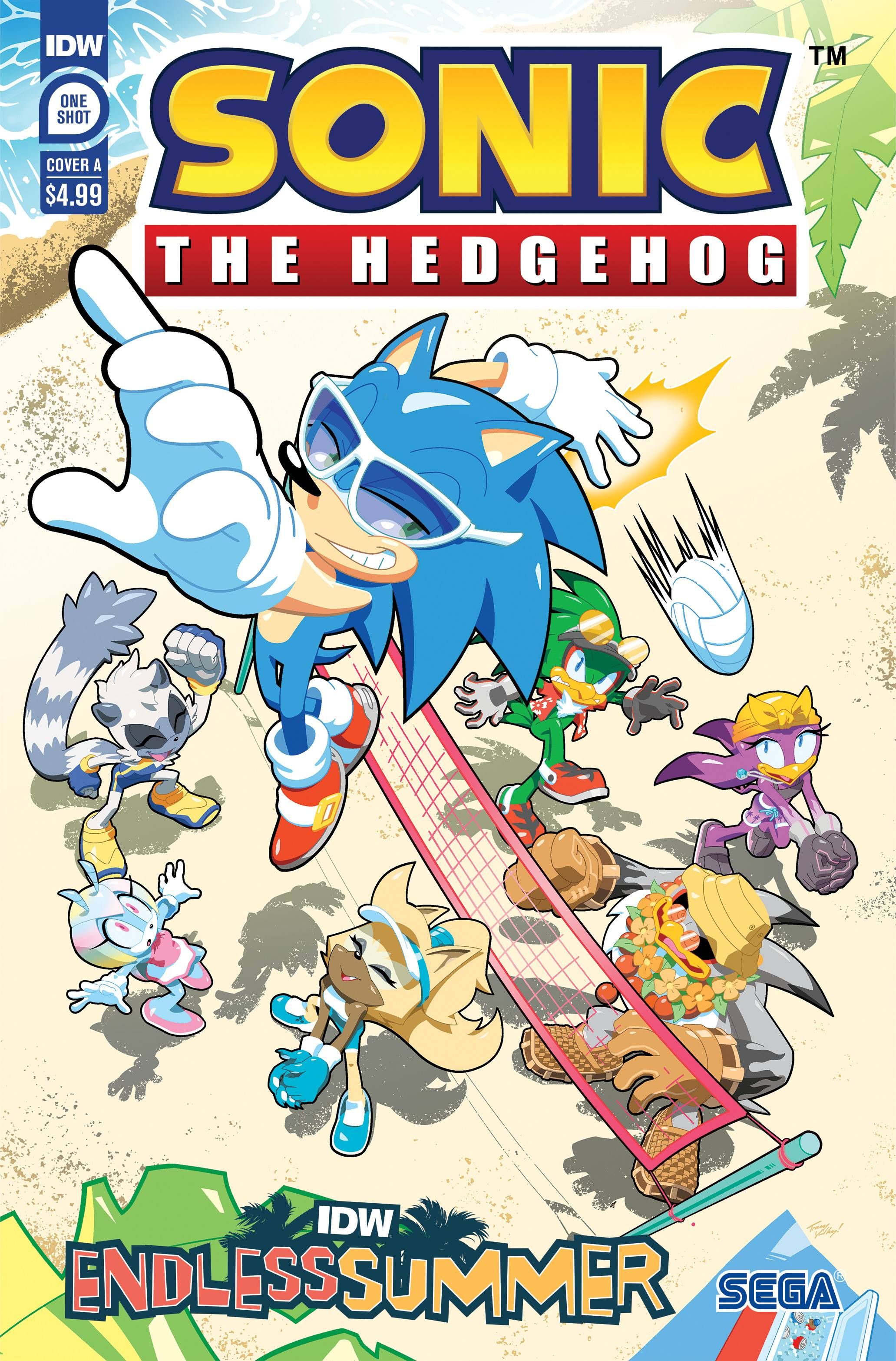 IDW Endless Summer: Sonic the Hedgehog Comic
