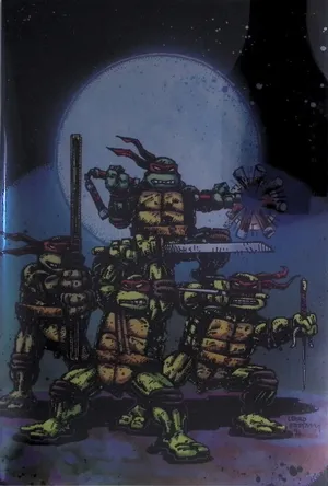 Teenage Mutant Ninja Turtles #1 (Mystery Box Foil Edition)