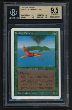 Birds of Paradise (Unlimited)