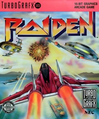 Raiden Video Game