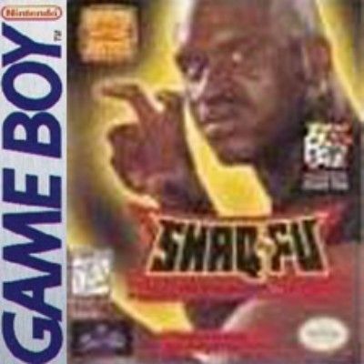 Shaq Fu Video Game