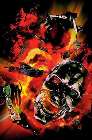 Terminator #10 (Cvr G Inc 1:10 Cat Staggs Virgin Variant)