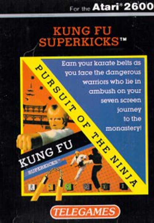 Kung Fu Superkicks Video Game