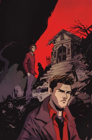Supernatural #10 (Cvr I Inc 1:15 David Cousens Virgin Variant)