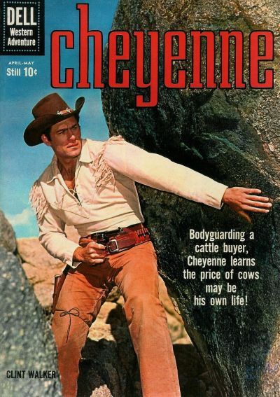 Cheyenne #15 Comic