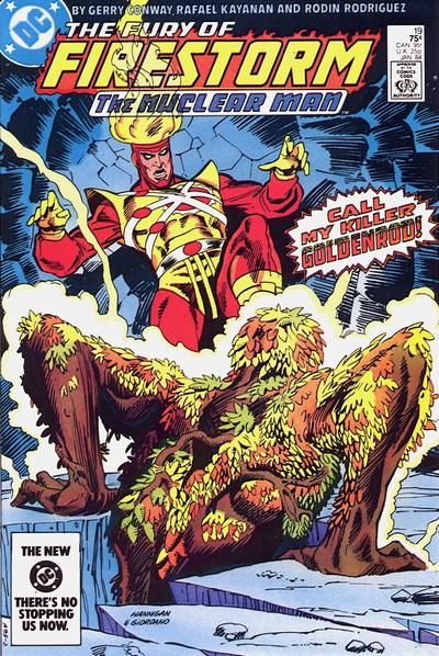 Fury of Firestorm #19 Comic