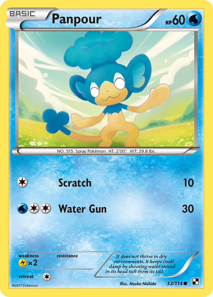 Panpour Pokémon Card