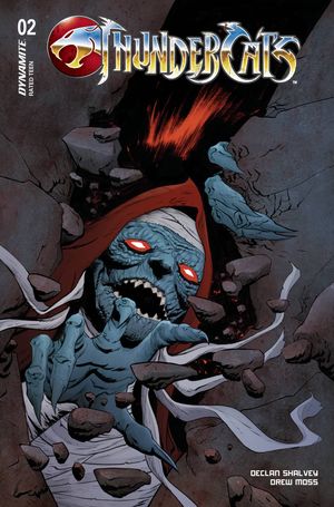 Thundercats #2 (Cvr D Lee & Chung)