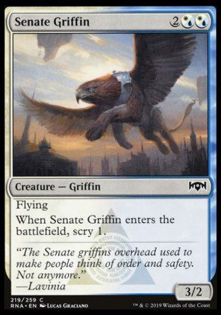 Senate Griffin (Ravnica Allegiance) Trading Card