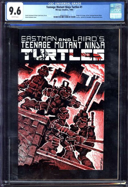 Teenage Mutant Ninja Turtles #1