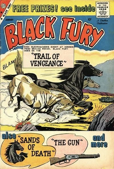 Black Fury #22 Comic