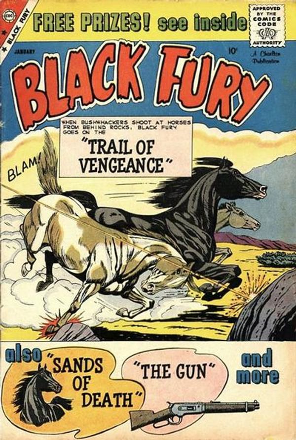 Black Fury #22