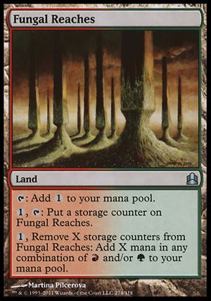 Fungal Reaches (MTG Commander)