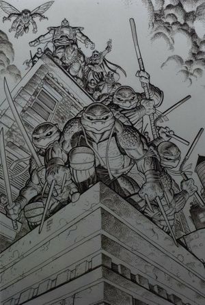 Teenage Mutant Ninja Turtles #1 (Adams Mystery Box Sketch Edition)