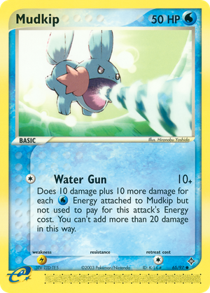 Mudkip (65/97) - Dragon