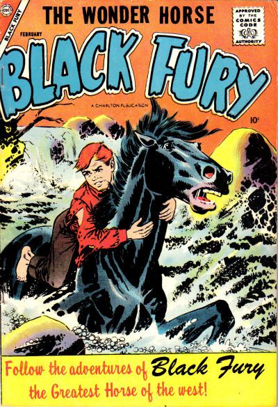Black Fury #12 Comic