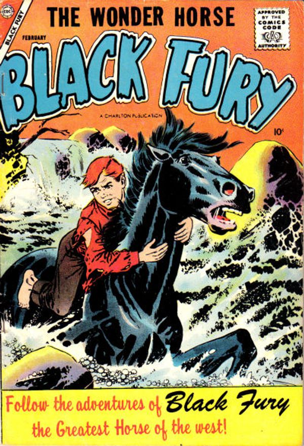 Black Fury #12