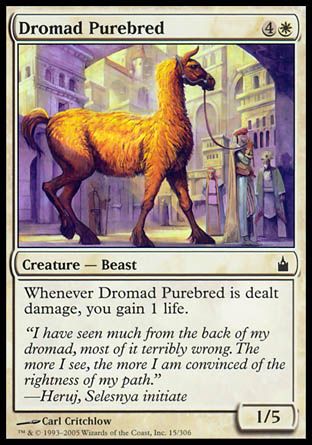 Dromad Purebred (Ravnica: City of Guilds) Trading Card