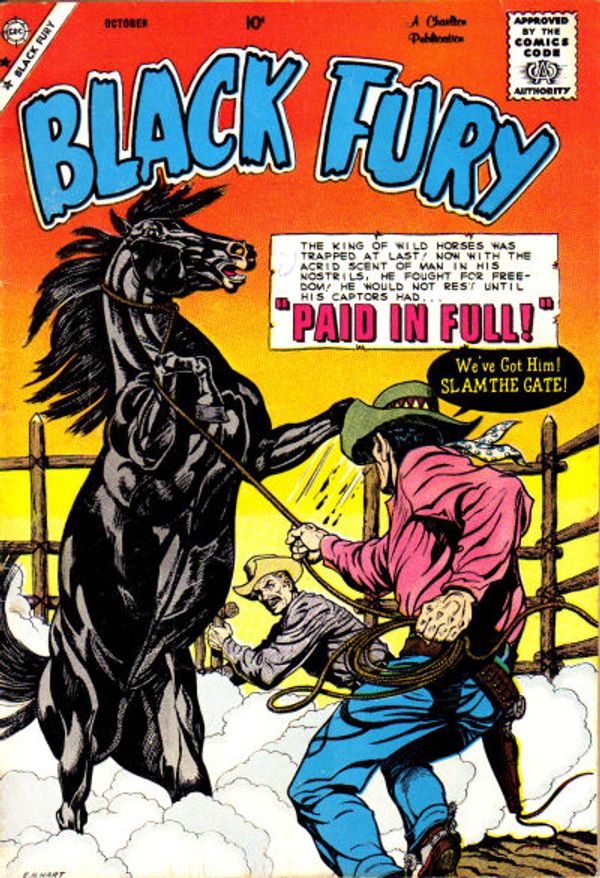 Black Fury #21