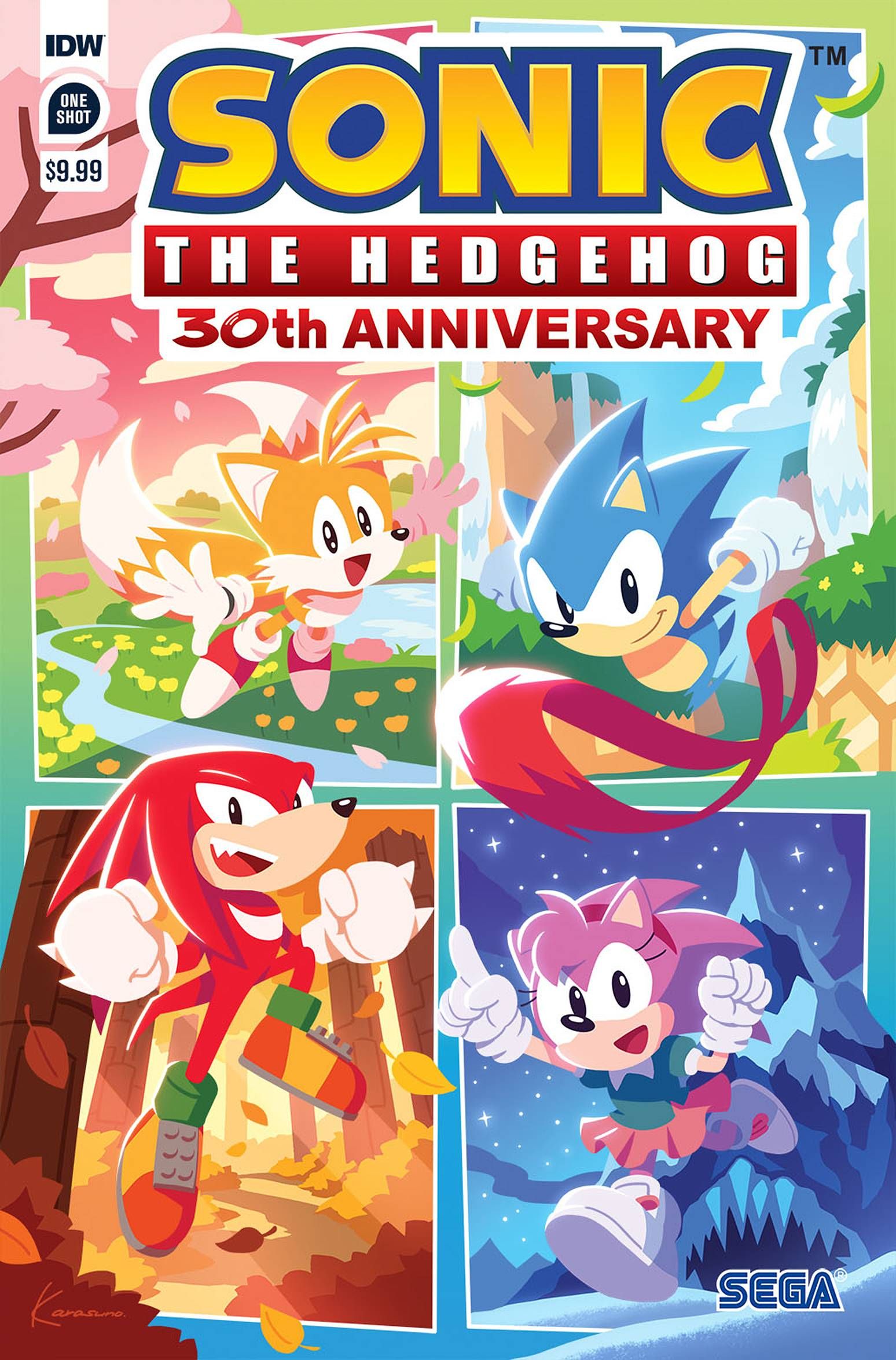 Sonic the Hedgehog: 30th Anniversary Special #1 Comic