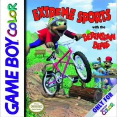 Extreme Sports with The Berenstain Bears Video Game