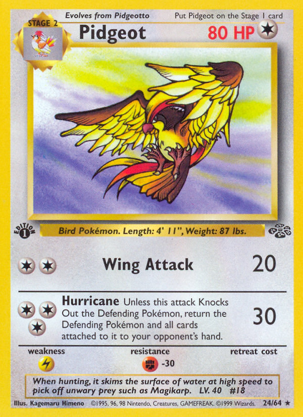 Pidgeot (24/64) - Jungle (1st Edition) Pokémon Card