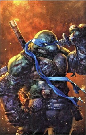 TMNT: The Last Ronin #2 (Quah Variant Cover)