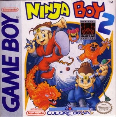 Ninja Boy 2 Video Game