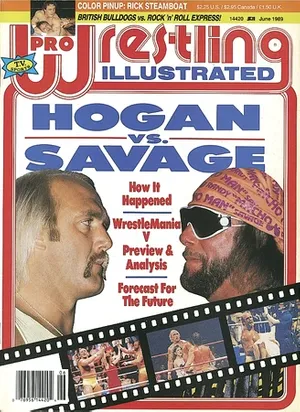 Pro Wrestling Illustrated (June 1989)