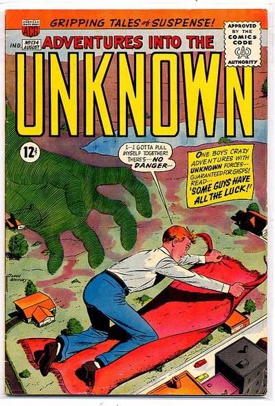 Adventures into the Unknown #134 Comic