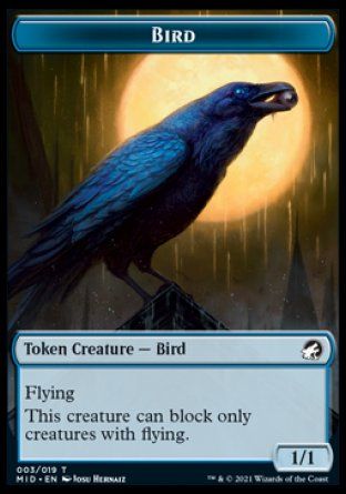 Bird (Innistrad: Midnight Hunt) Trading Card