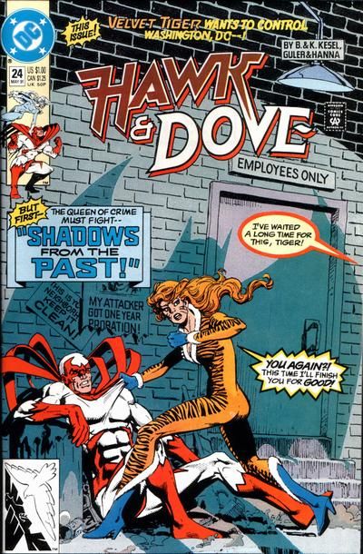 Hawk and Dove #24 Comic