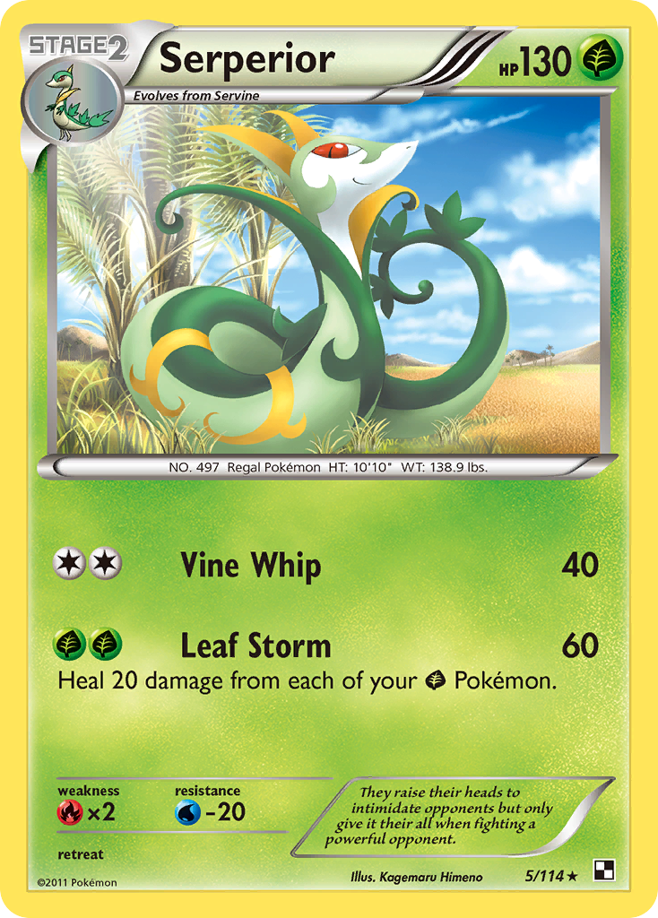 Serperior (5/114) - Black & White Pokémon Card