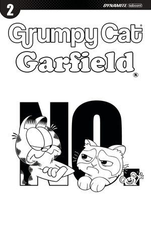 Grumpy Cat Garfield #2 (Cover E 10 Copy Hirsch Cover)
