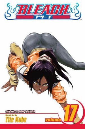 Bleach #17