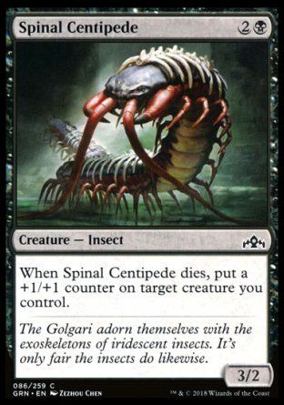 Spinal Centipede (Guilds of Ravnica) Trading Card