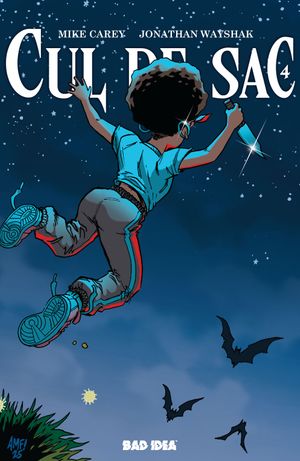 Cul De Sac #4 (Cvr B Tony Fleecs Cursed Mirror Variant)