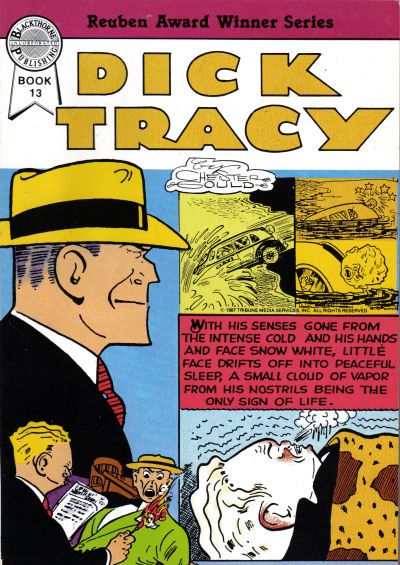 Dick Tracy #13 Comic