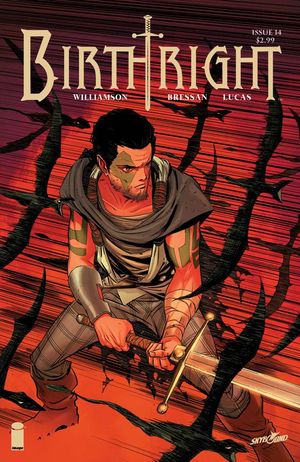 Birthright #14 (Cover B Dragotta)